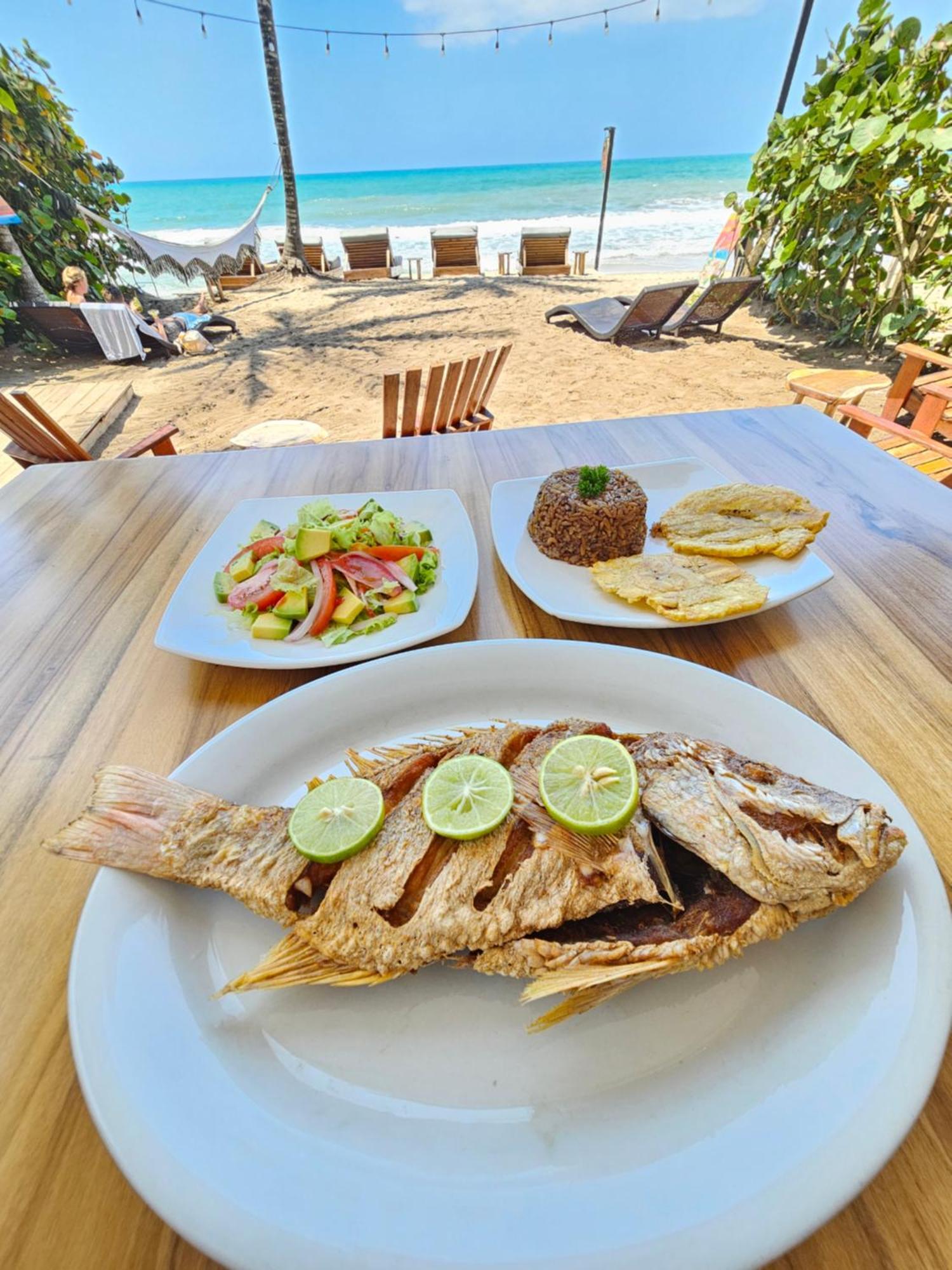 Makao Beach Hotel Palomino Zewnętrze zdjęcie